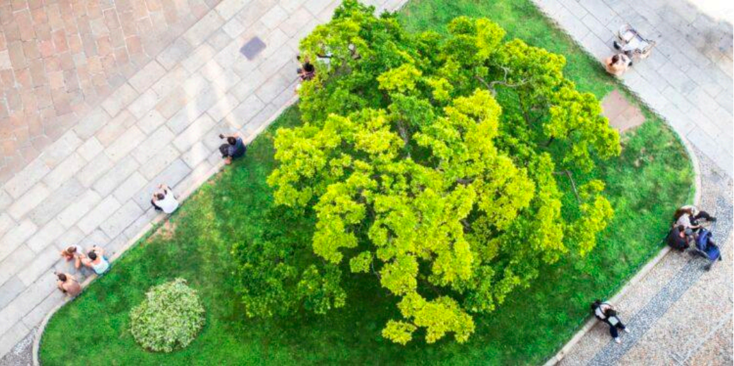 Il benessere verde nelle nostre città.  Alla ricerca di dati, bisogni e sperimentazioni progettuali.