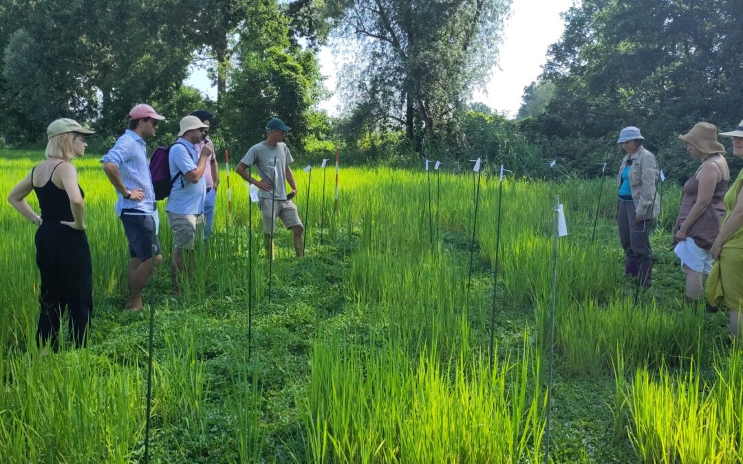 Invito all’evento “Campi aperti” 4 Novembre 2025 presso l’ Istituto di Istruzione Superiore A. Della Lucia di Feltre